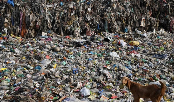 Recycling Equipment for Municipal Solid Waste